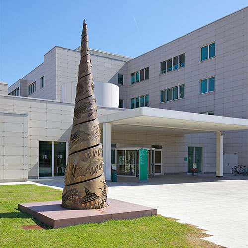 Istituto Clinico Humanitas